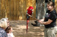 Orlando, Central Florida Zoo Skip-the-Line Ticket - Housity
