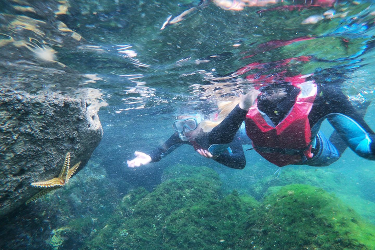 Lagos: Algarve Coasteering i przygoda ze snorkelingiem