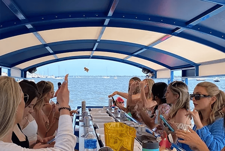 Charleston Harbor Bar Pedal Boat Party Cruise GetYourGuide