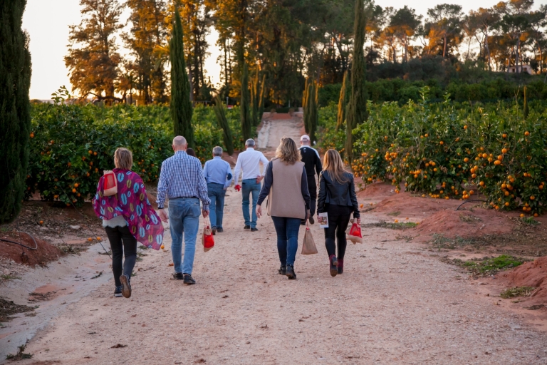 Valencia: Ausflug zur Orangenfarm und zum Obstgarten mit Verkostung