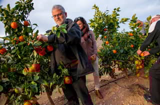 Valencia: Ausflug zur Orangenfarm und zum Obstgarten mit Verkostung