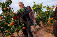 Valencia, Orange Farm et Orchard Voyage avec dégustations - Hizvo