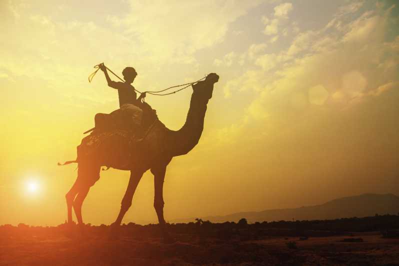 Taghazout: barbacoa marroquí y recorrido por camello