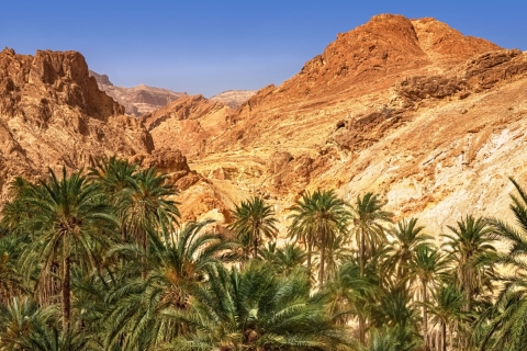 Taghazout: Geführte Tour durch das Paradiestal und die SanddünenSanddünen Wüstenerlebnis in einem halben Tag