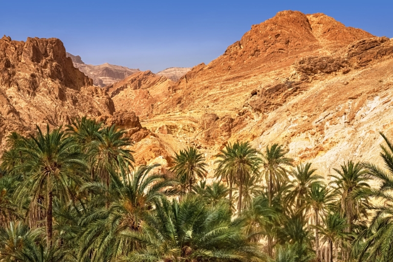 Taghazout: Geführte Tour durch das Paradiestal und die Sanddünen