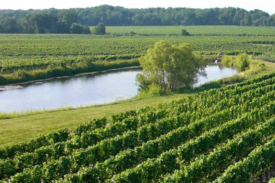Niagarafälle: Geführte Weingut-Tour mit Verkostungen & Abholung. Foto: GetYourGuide