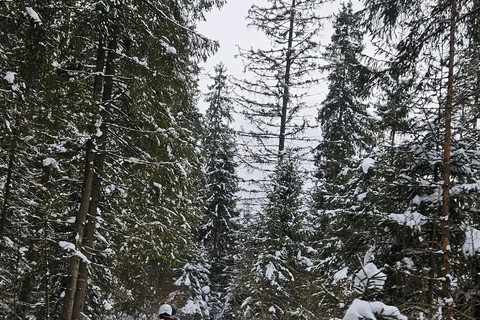 Krakow: Zakopane Snowmobile & Kulig Day Trip with Dinner