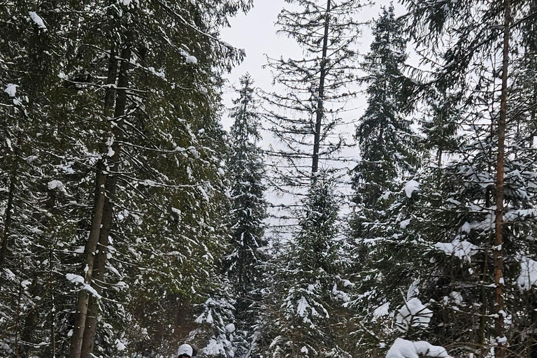 Krakow: Zakopane Snowmobile & Kulig Day Trip with Dinner