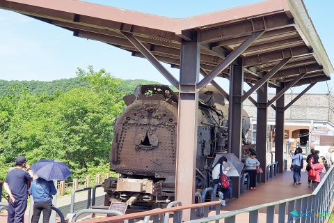 Vanuit Seoul: DMZ-excursie van een halve of hele dagKoreaanse DMZ-middagtour zonder winkelen