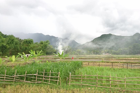 From Hanoi: Bai Dinh and Tràng An Guided Day Trip with Lunch Bai Dinh - Trang An Full Day - Cave, Boat, Bus, Lunch, Guide