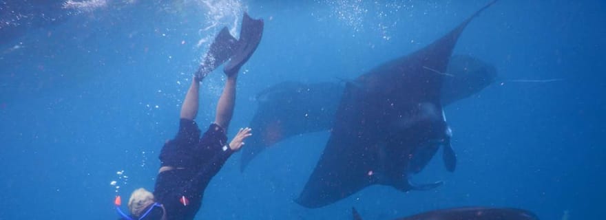 Excursion Manta à Nusa Lembongan et Nusa Penida