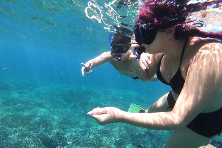 From Bali: Manta Bay and Nusa Lembongan Day Trip with Lunch