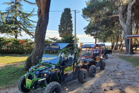 Fažana: Guided Buggy Tour in the Heart of Istria
