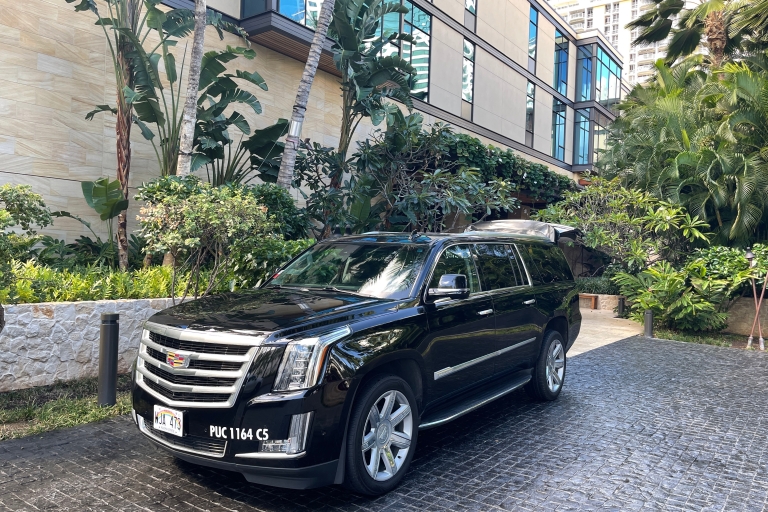 Honolulu: Private Transfer from Harbor to Hotel/Airport