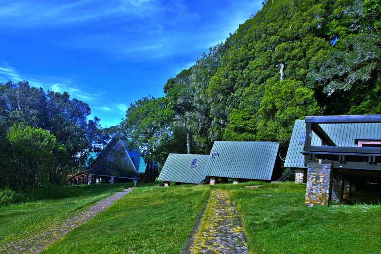 Randonnée d&#039;une journée sur le mont Kilimandjaro à travers la porte de Maranguprix de groupe