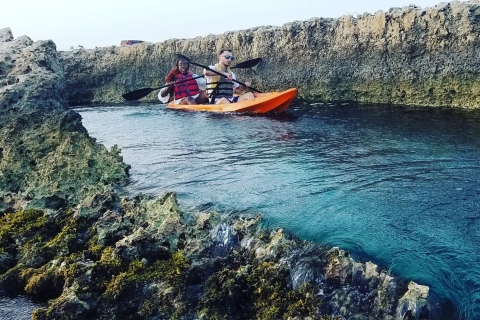 Aruba: Kajakboottocht door mangrovebossen met heldere bodem