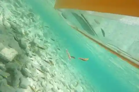 Aruba: Clear-Bottom Mangrove Forest Kayak Boat Tour