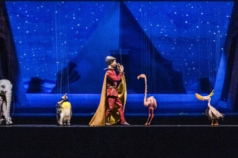 Salzbourg : billet pour la flûte enchantée au théâtre de marionnettesBillet de spectacle de 2 heures