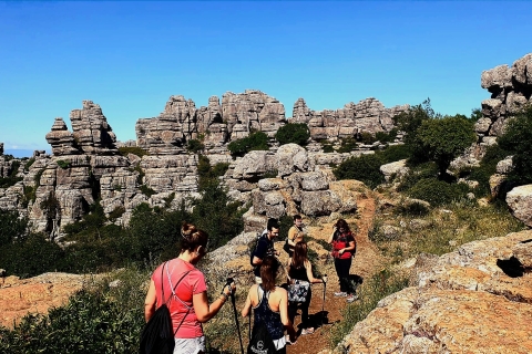 Desde Málaga: Parque Natural Torcal Antequera y Sitio de Dólmenes