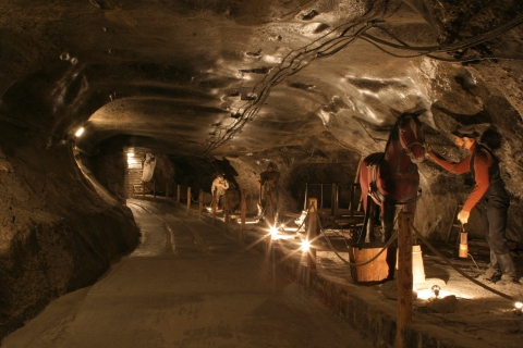 Desde Cracovia: tour clásico de las minas de sal de Wieliczka con guía