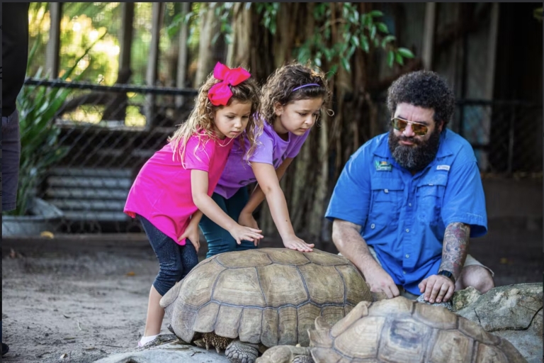 Everglades: visite privée de l'exposition de reptiles du parc Sawgrass