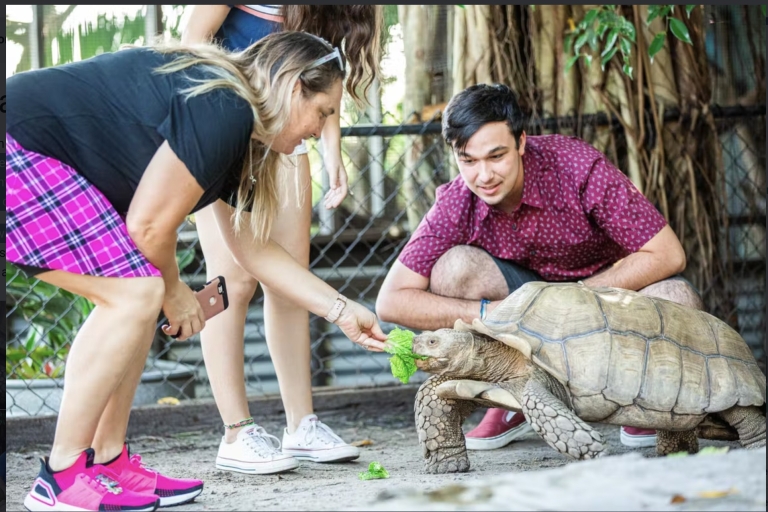 Everglades: visite privée de l'exposition de reptiles du parc Sawgrass