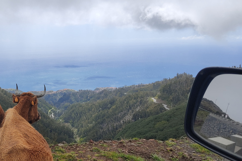 Autoguiado Levada 25 Fontes & Risco en RabaçalDesde Funchal: traslado al parque Rabacal y senderismo autoguiado