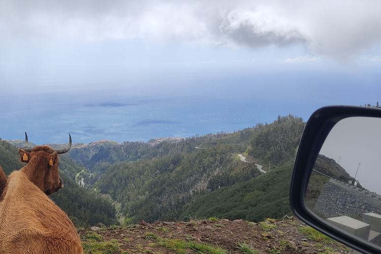 Autoguiado Levada 25 Fontes & Risco en RabaçalDesde Funchal: traslado al parque Rabacal y senderismo autoguiado