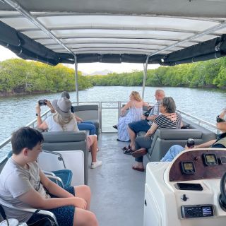 Cairns: Sightseeing River Boat Safari med läsk