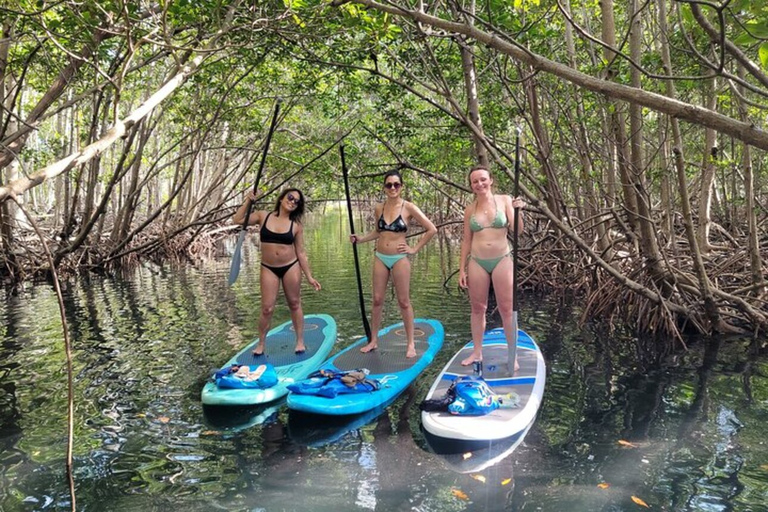 Norte de Miami: Exploração da natureza e da ilha em SUP/caiaque