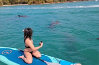 North Miami, Nature & Island Exploration sur SUP / KAYAK - Housity