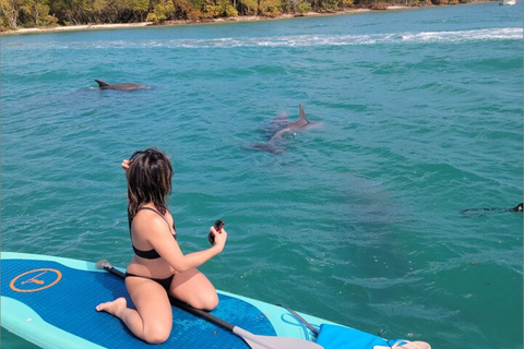 Norte de Miami: Exploração da natureza e da ilha em SUP/caiaque