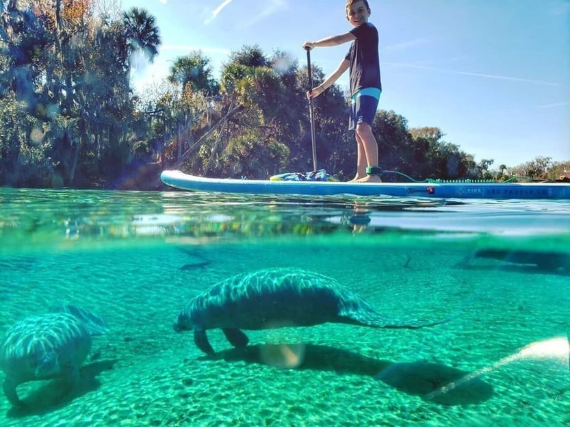 North Miami : Exploration de la nature et des îles en SUP/Kayak