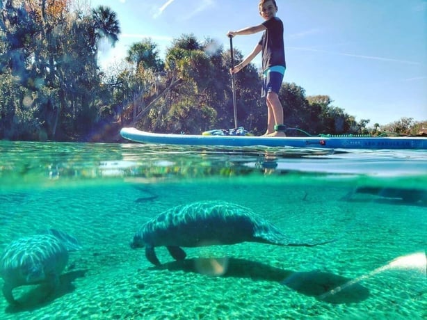 North Miami: Paddleboard or Kayak Island and Animal Tour