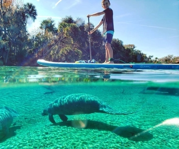 North Miami: Nature & Island Exploration on SUP/Kayak