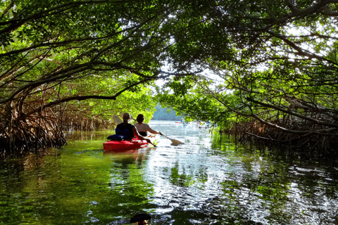 North Miami: Nature & Island Exploration on SUP/Kayak