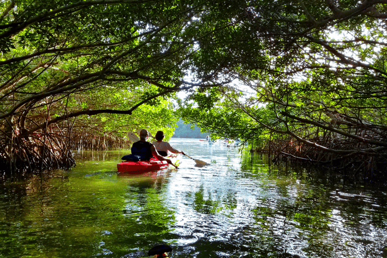 Norte de Miami: Exploración de la Naturaleza y las Islas en SUP/Kayak