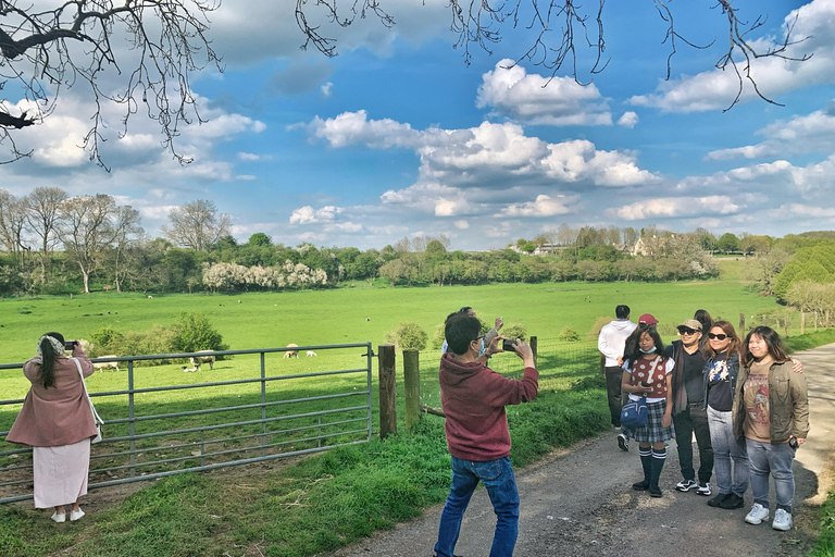 Au départ de Cambridge : Excursion guidée d&#039;une journée à Stratford et dans les Cotswolds