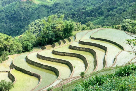 Van Hanoi: Ha Giang begeleide driedaagse trip