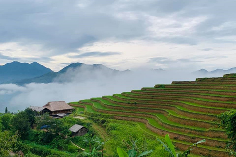 Van Hanoi: Ha Giang begeleide driedaagse trip