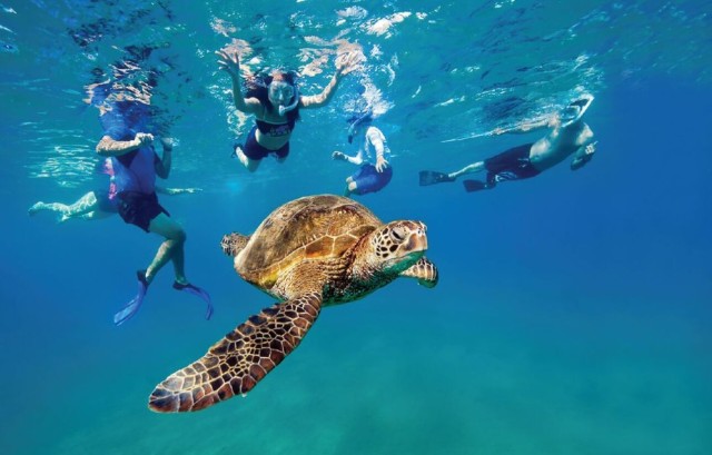 Visit Ocean Reef Snorkeling and Paddleboarding in Fort Lauderdale