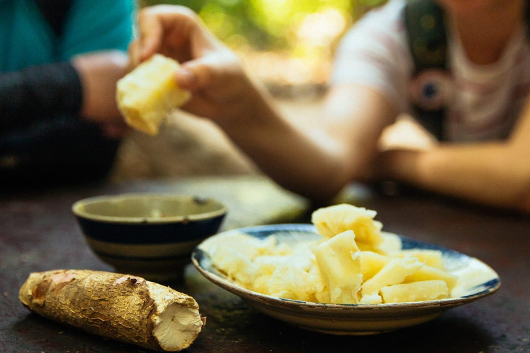 HCM: Explore Cu Chi Tunnels, Shooting, Tasting Steam Cassava Standard Group Tour (Max 25 peoples)