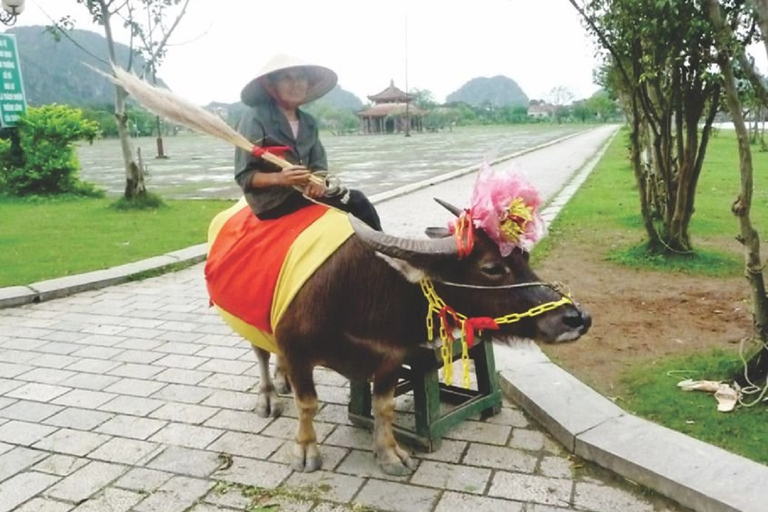 Hanoi: ciclismo, clase de cocina y excursión de un día al templo Thai Vi