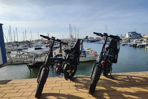 Huelva: aluguel de bicicleta elétrica de meio dia com presente fotográfico
