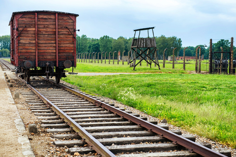 Au départ de Cracovie : Excursion d'une journée complète à Auschwitz-Birkenau avec transfert.Billet d'entrée et guide