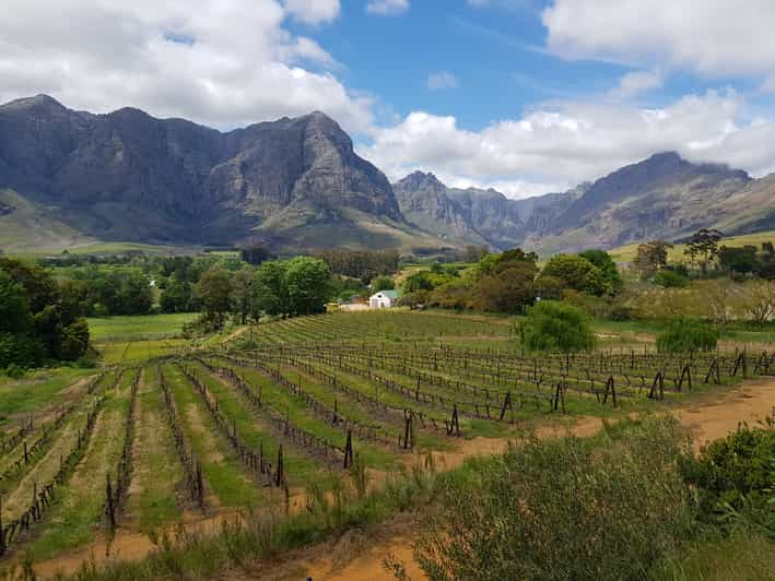 Privat Vinresa Till Stellenbosch Och Franschhoek | GetYourGuide