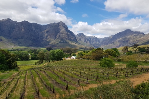 Von Kapstadt aus: Stellenbosch Rotweinkellereien mit Verkostungen