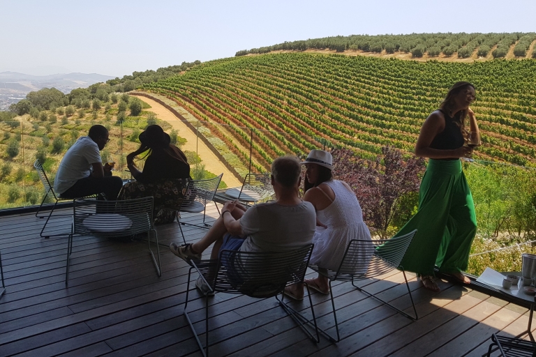 Van Kaapstad: rode wijnmakerijen in Stellenbosch met proeverijen