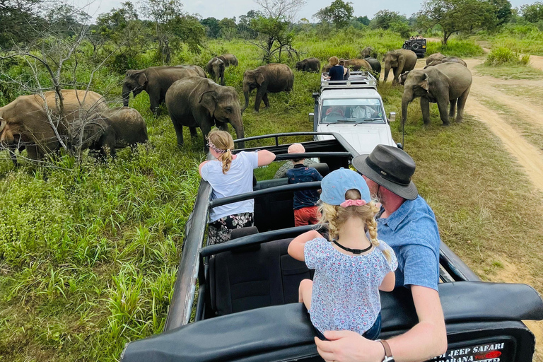 Safari dans le parc national de Minneriya en Golden Hours 4x4 Jeep