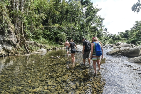 Von San Juan: Tagesausflug zum El Yunque Regenwald und den Wasserrutschen